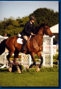 beluckyHC20088