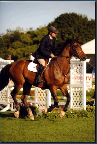 beluckyHC20088a