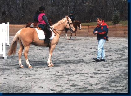 palomino